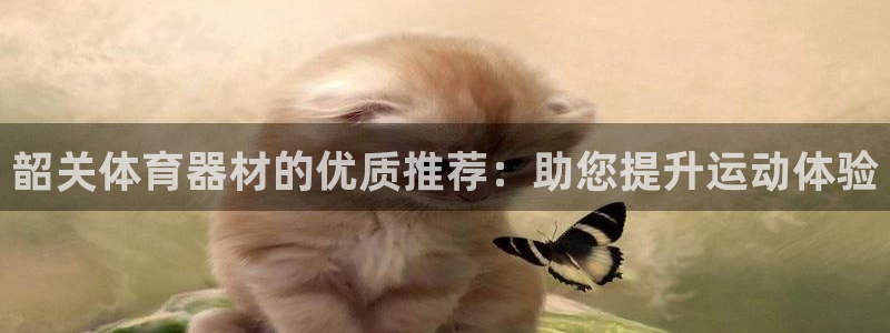 富联娱乐测速登录不了：韶关体育器材的优质推荐：助您提