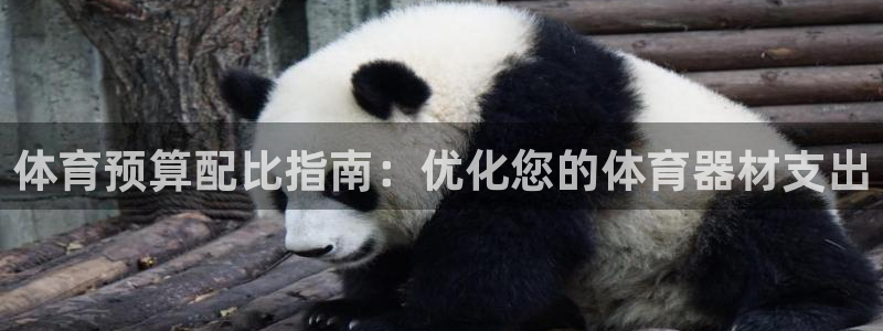 富联娱乐测速登录不上：体育预算配比指南：优化您的体育