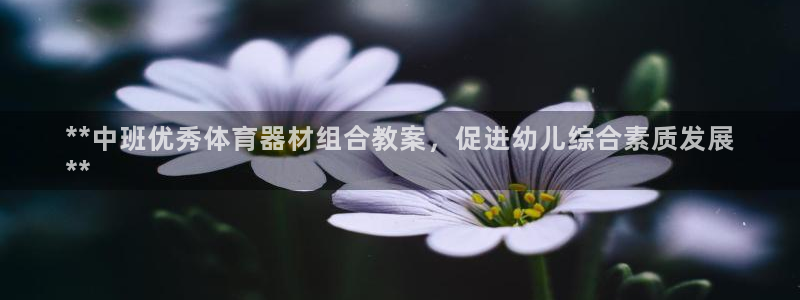 富联平台安装：**中班优秀体育器材组合教案，促进幼儿