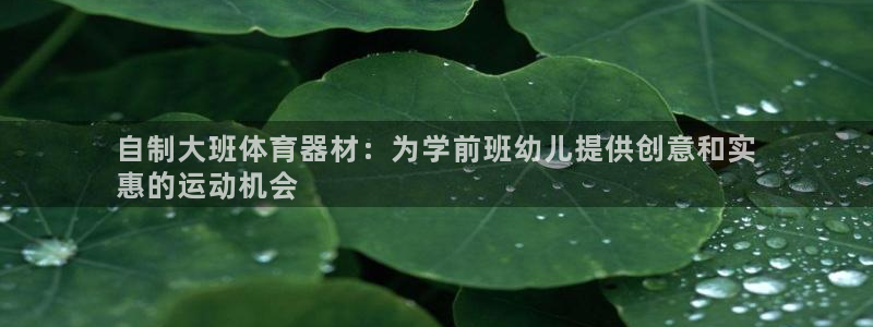 富联娱乐平台开户条件：自制大班体育器材：为学前班幼儿