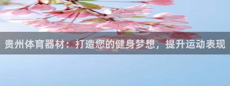 富联娱乐华 5O6917 娱乐：贵州体育器材：打造您