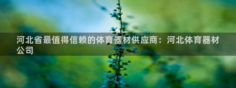 富联娱乐登陆：河北省最值得信赖的体育器材供应商：河北