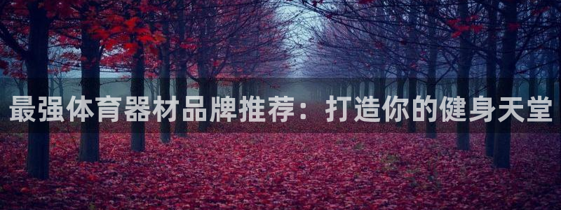 富联平台注册地址在哪里：最强体育器材品牌推荐：打造你