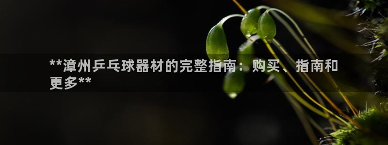 富联平台登录注册不了：**漳州乒乓球器材的完整指南：