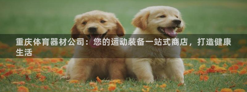富联娱乐登录注册流程：重庆体育器材公司：您的运动装备