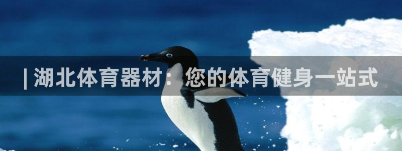 富联地产怎么样可靠吗：| 湖北体育器材：您的体育健身