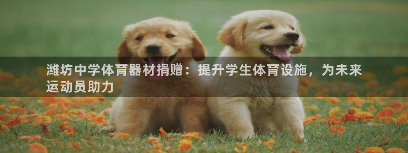 富联娱乐股东结构：潍坊中学体育器材捐赠：提升学生体育