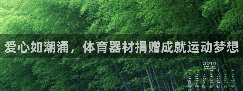 富联平台结7O777：爱心如潮涌，体育器材捐赠成就运