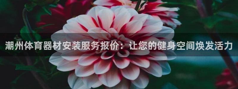 富联娱乐测速登录失败：潮州体育器材安装服务报价：让您