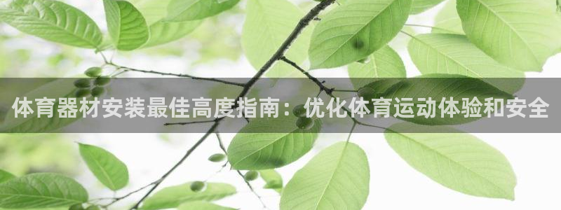 富联官方网站入口网址是多少：体育器材安装最佳高度指南