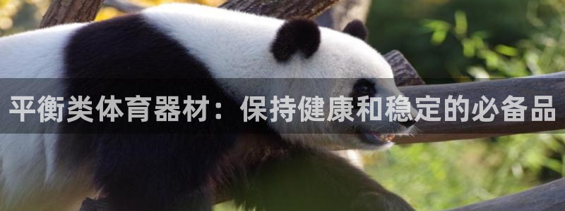 富联集团最新消息今天：平衡类体育器材：保持健康和稳定