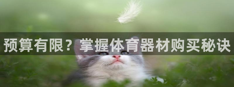 富联平台招商：预算有限？掌握体育器材购买秘诀