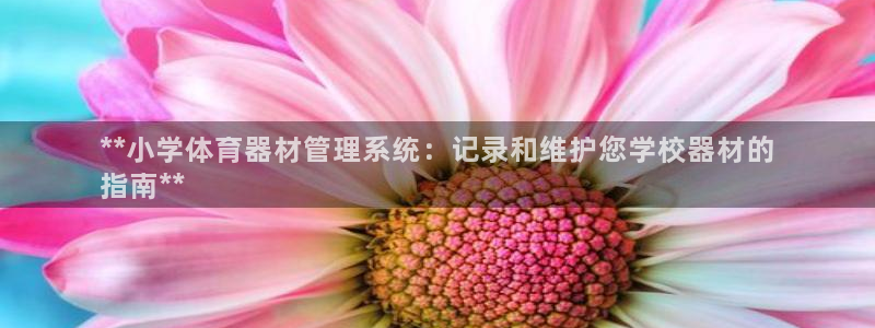 富联官方网站下载安装手机版：**小学体育器材管理系统