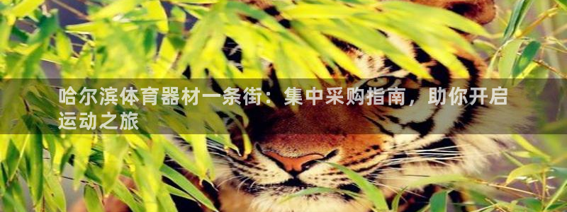 富联官方网站入口下载：哈尔滨体育器材一条街：集中采购