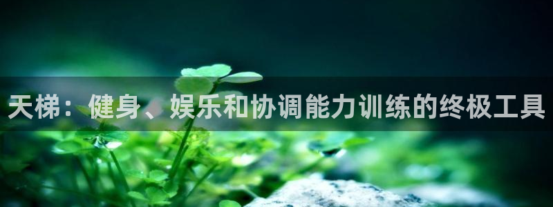 富联平台案7O777：天梯：健身、娱乐和协调能力训练