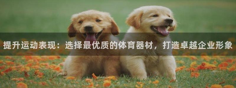 富联平台官网登录网址：提升运动表现：选择最优质的体育