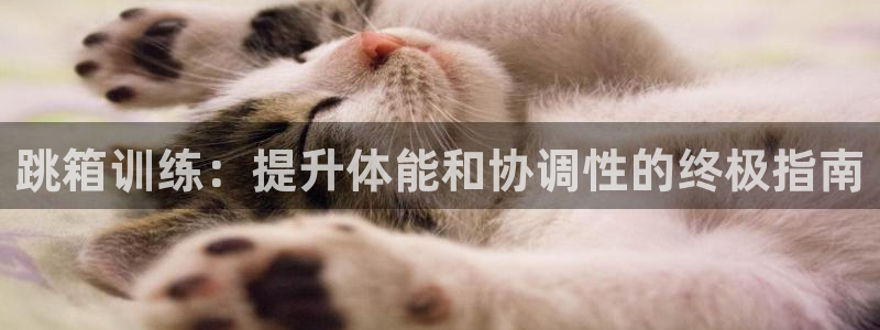 富联娱乐官方网站首页登录：跳箱训练：提升体能和协调性