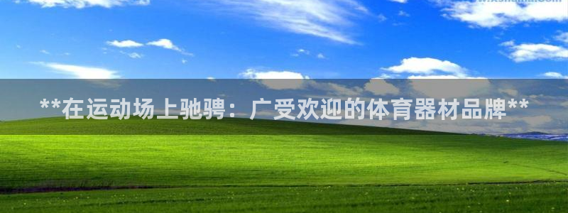 富联平台选 58534I 富联：**在运动场上驰骋：