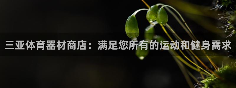 富联娱乐平台开户条件要求：三亚体育器材商店：满足您所