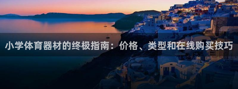 富联机器人产业研发基地：小学体育器材的终极指南：价格