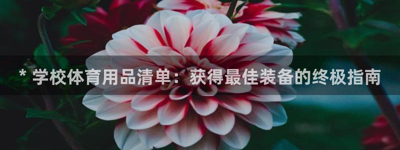 富联娱乐正规吗安全吗：* 学校体育用品清单：获得最佳