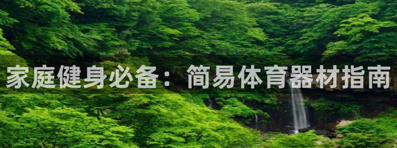 富联股份代码是多少：家庭健身必备：简易体育器材指南
