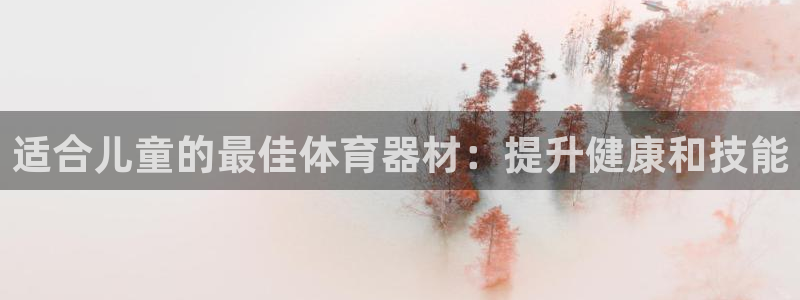 富联平台登录网址：适合儿童的最佳体育器材：提升健康和