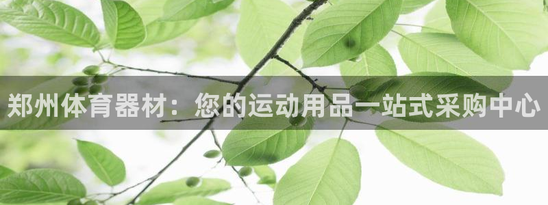 富联平台登录入口官网：郑州体育器材：您的运动用品一站
