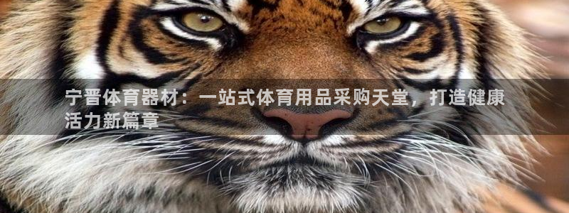富联娱乐心 5o69I7：宁晋体育器材：一站式体育用