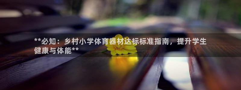 富联平台注册登录入口：**必知：乡村小学体育器材达标