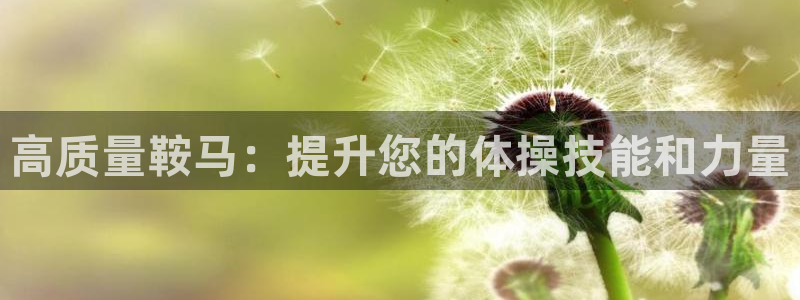 富联股份股票代码：高质量鞍马：提升您的体操技能和力量