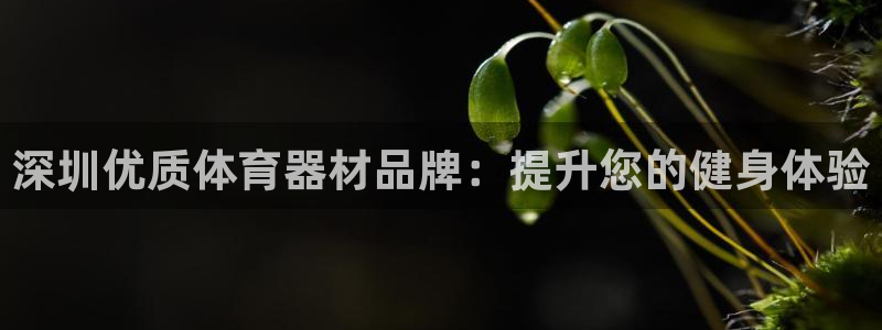 富联平台强 3.7.oo.7.3.5：深圳优质体育器