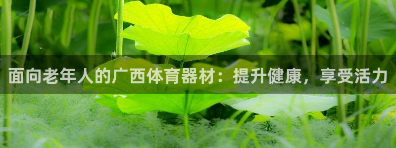 富联平台保7O777：面向老年人的广西体育器材：提升