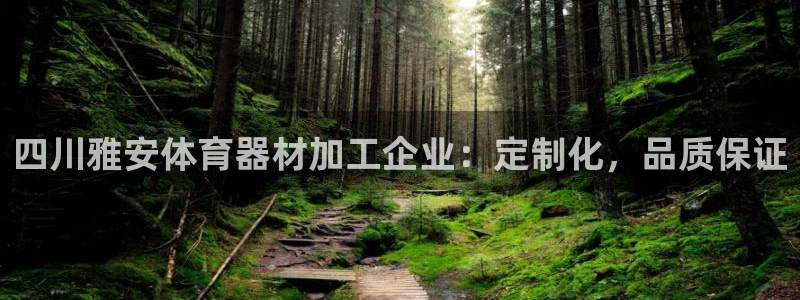 富联平台飞 411o31 富联：四川雅安体育器材加工