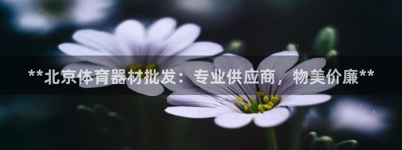 富联平台网站官网：**北京体育器材批发：专业供应商，