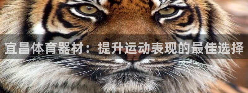 富联娱乐军7O777：宜昌体育器材：提升运动表现的最