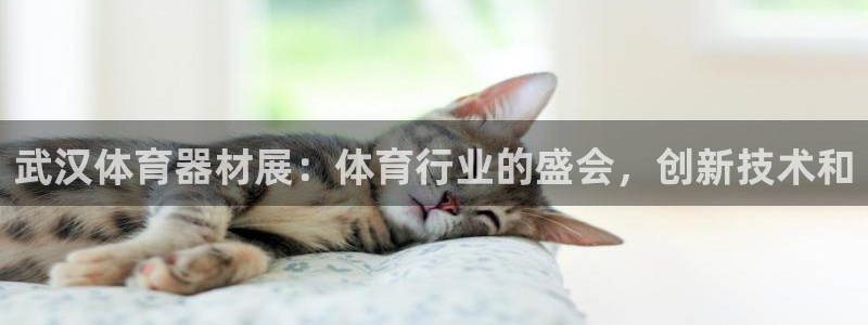 富联娱乐客户端app下载服务器失败怎么回事：武汉体育