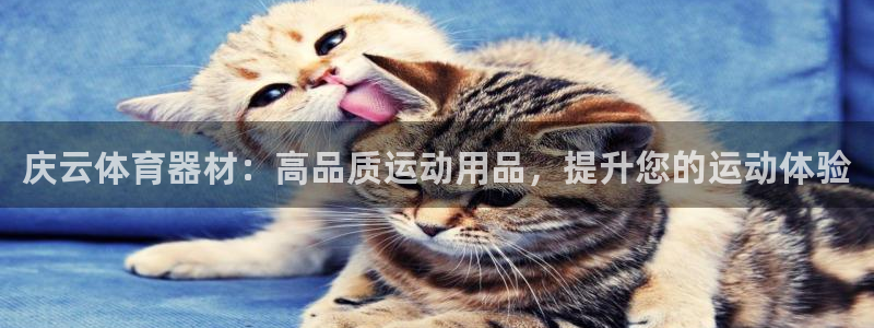 富联官方网站入口下载：庆云体育器材：高品质运动用品，