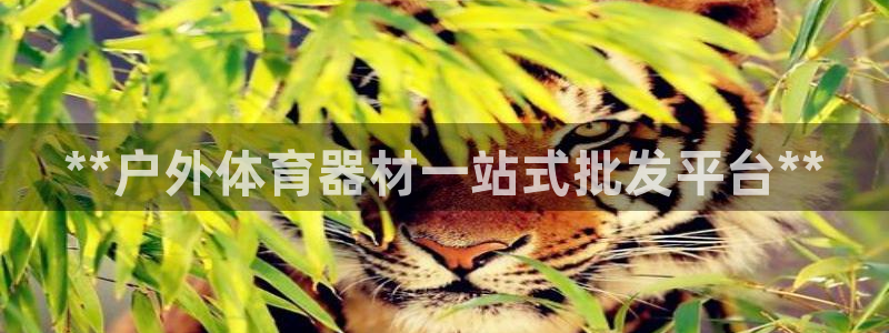 富联娱乐登录注册入口官网下载安装：**户外体育器材一