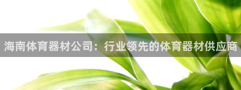富联娱乐是什么时候开的：海南体育器材公司：行业领先的