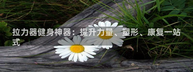 富联平台选 585341 平台：拉力器健身神器：提升