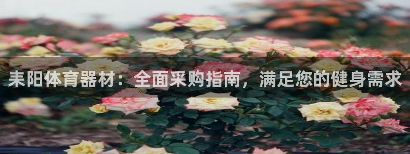 富联平台用户登陆不了：耒阳体育器材：全面采购指南，满