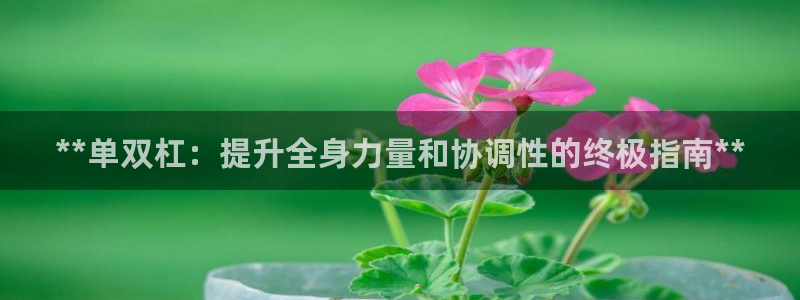 富联娱乐在线注册链接怎么弄出来：**单双杠：提升全身
