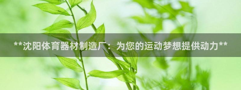 富联平台赢钱不给退怎么办理：**沈阳体育器材制造厂：