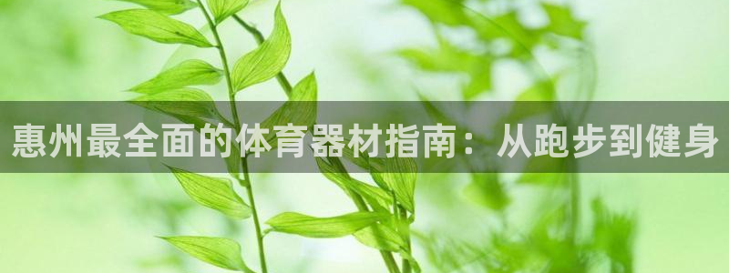 富联官网登陆网址：惠州最全面的体育器材指南：从跑步到