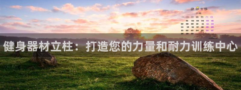 富联平台是什么：健身器材立柱：打造您的力量和耐力训练