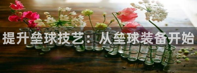 富联丰地产怎么样：提升垒球技艺：从垒球装备开始