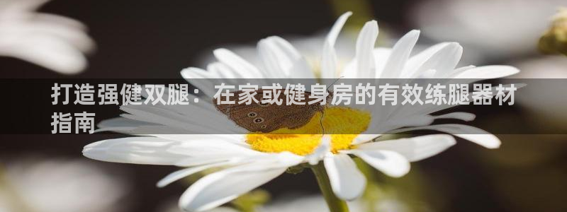 富联平台网站是什么：打造强健双腿：在家或健身房的有效