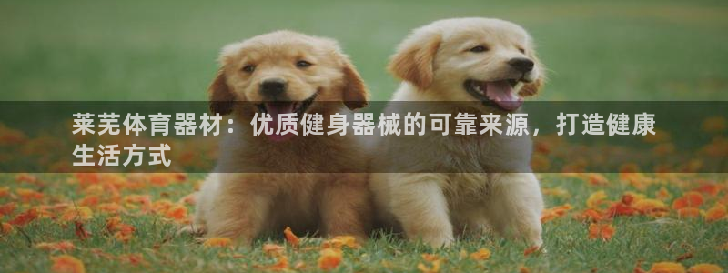 富联申购是什么股票：莱芜体育器材：优质健身器械的可靠