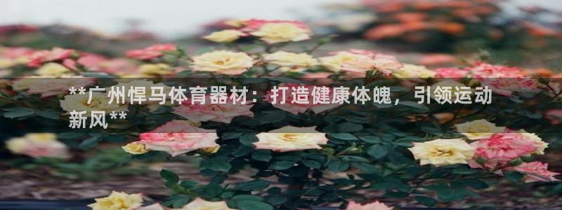 富联娱乐马 411O31 娱乐：**广州悍马体育器材